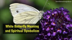 Read more about the article White Butterfly Meaning and Spiritual Symbolism 2022